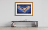 Spirit Owl ~ Art Prints