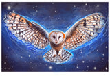 Spirit Owl ~ Art Prints